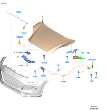 Capote Ford PUMA