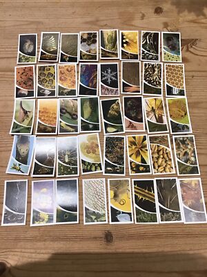 COMPLETE SET OF 40 BROOKE BOND TEA CARDS SMALL WONDERS Very Good Condition