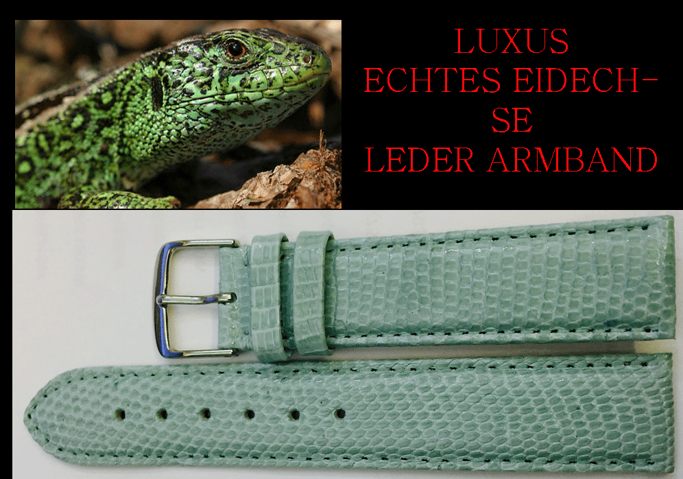 Bild 2 von 2