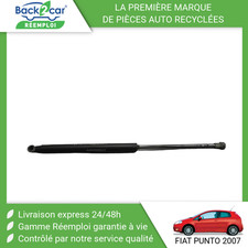 Verin de hayon / de capot Fiat PUNTO EVO