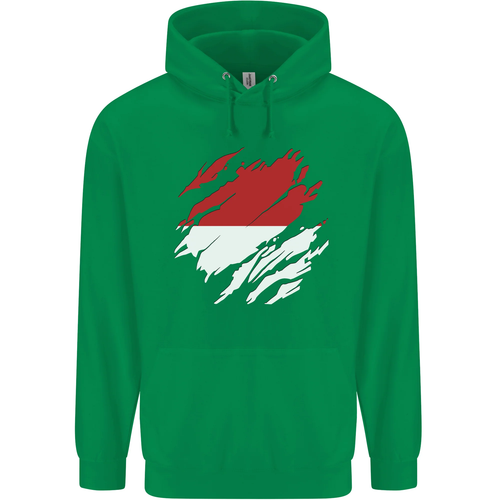 Torn Indonesia Flag Indonesian Day Football Childrens Kids Hoodie - Picture 44 of 76