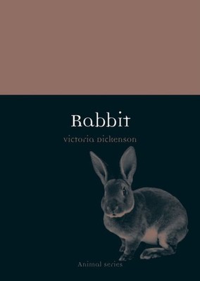 Rabbit by Victoria Dickenson PAPERBACK 9781780231815