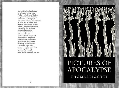 Thomas Ligotti - Pictures Of Apocalypse Book Softcover Chiroptera Press New - Foto 2 di 6