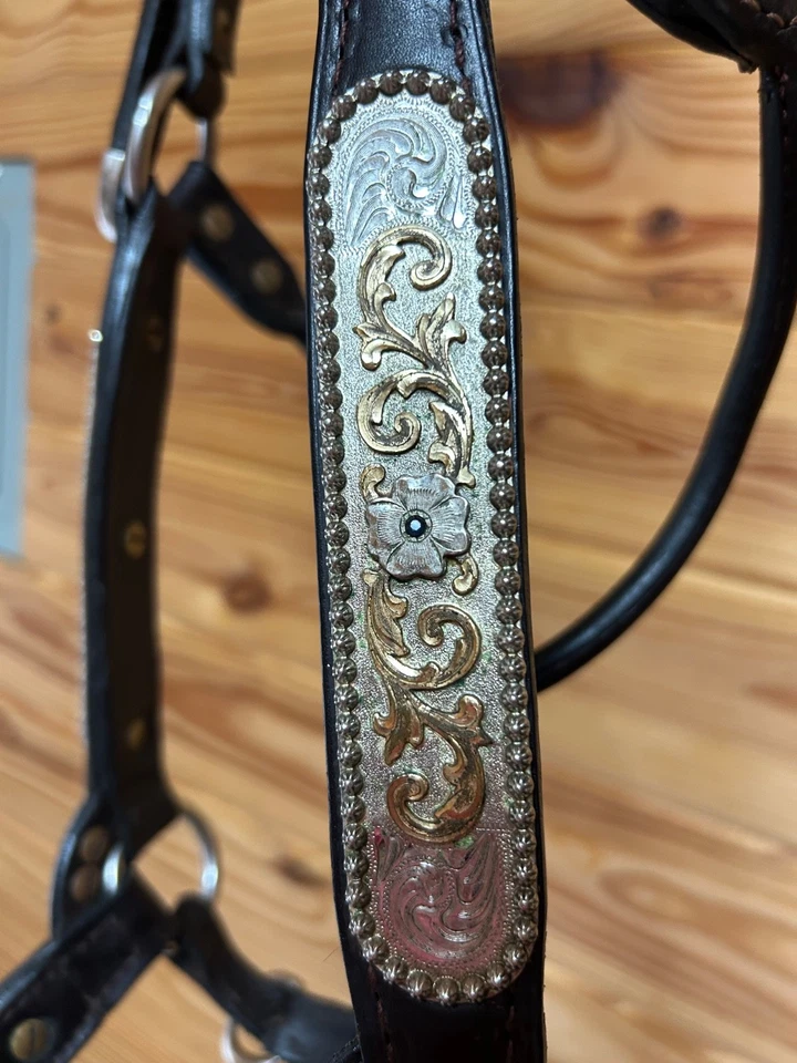 Halter Kathy’s Showmanship, corte Congreso, tamaño completo con piedras azules Foto 2 de 4