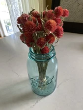 Burnt Orange Dried GLOBE AMARANTH Bunch BOUQUET Bundle DRIED FLOWERS Auc#2