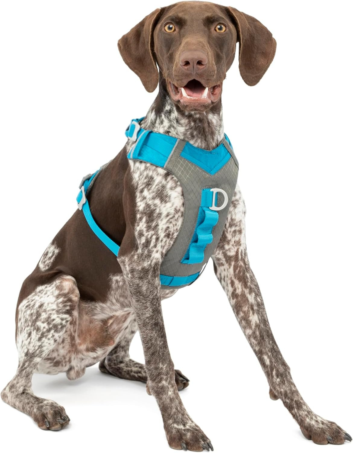 Kurgo Journey Air: La Migliore Pettorina da Running per Cani Attivi