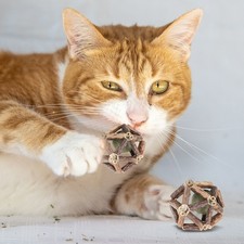 2Pcs 2.6" Universal Catnip Balls Natural Silvervine Stick Cage Ball