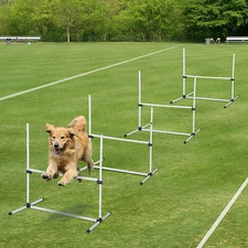 Dog Agility Jumping Training Equipment Obstacle Course Set Outdoor Jump Bar