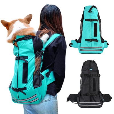corgi carrying backpack