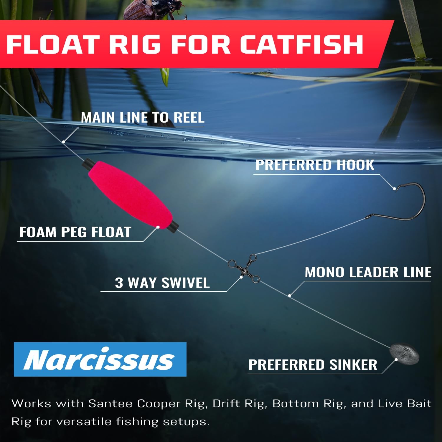 Fishing Bobbers Floats for Catfish, Vibrant Hard Foam Fishing Peg ...
