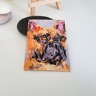 Foto 9 di 13