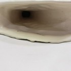 Foto 9 di 11