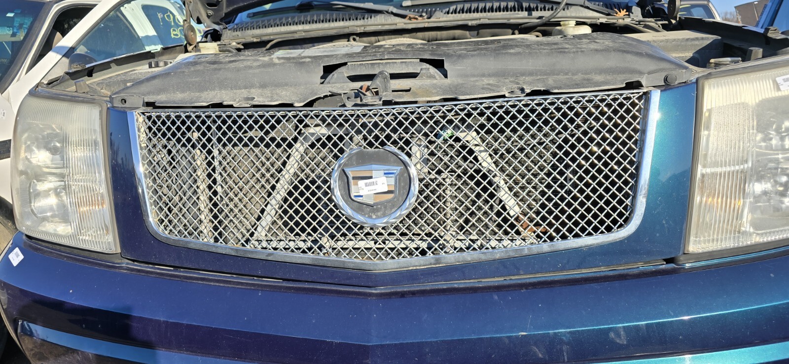 Picture 4 of 23
