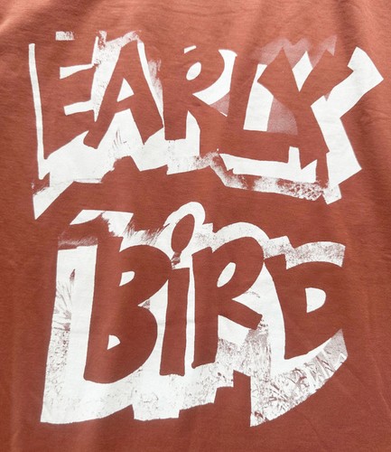 PAUL SMITH 100% ORGANIC COTTON EARLY BIRD PRINT T-SHIRT / TOP BNWT SZ- L RARE - Picture 8 of 13