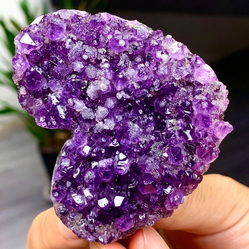 141G Natural Forma Corazón Amatista Gema Cuarzo Racimo Cristal Muestra - Imagen 2 de 22