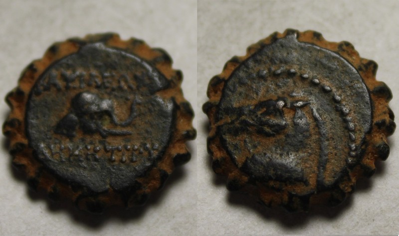 Rare genuine Ancient Greek coin Seleukid Demetrios I serrate. Horse Elephant