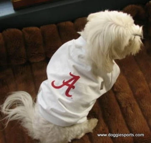 Camiseta de fútbol americano universitario Alabama Crimson Tide algodón para perro talla a elección unisex Foto 2 de 2