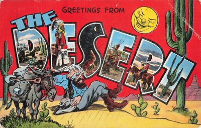 Desert Greetings Postcard Large Letter Multi View Postmark 1940    N3