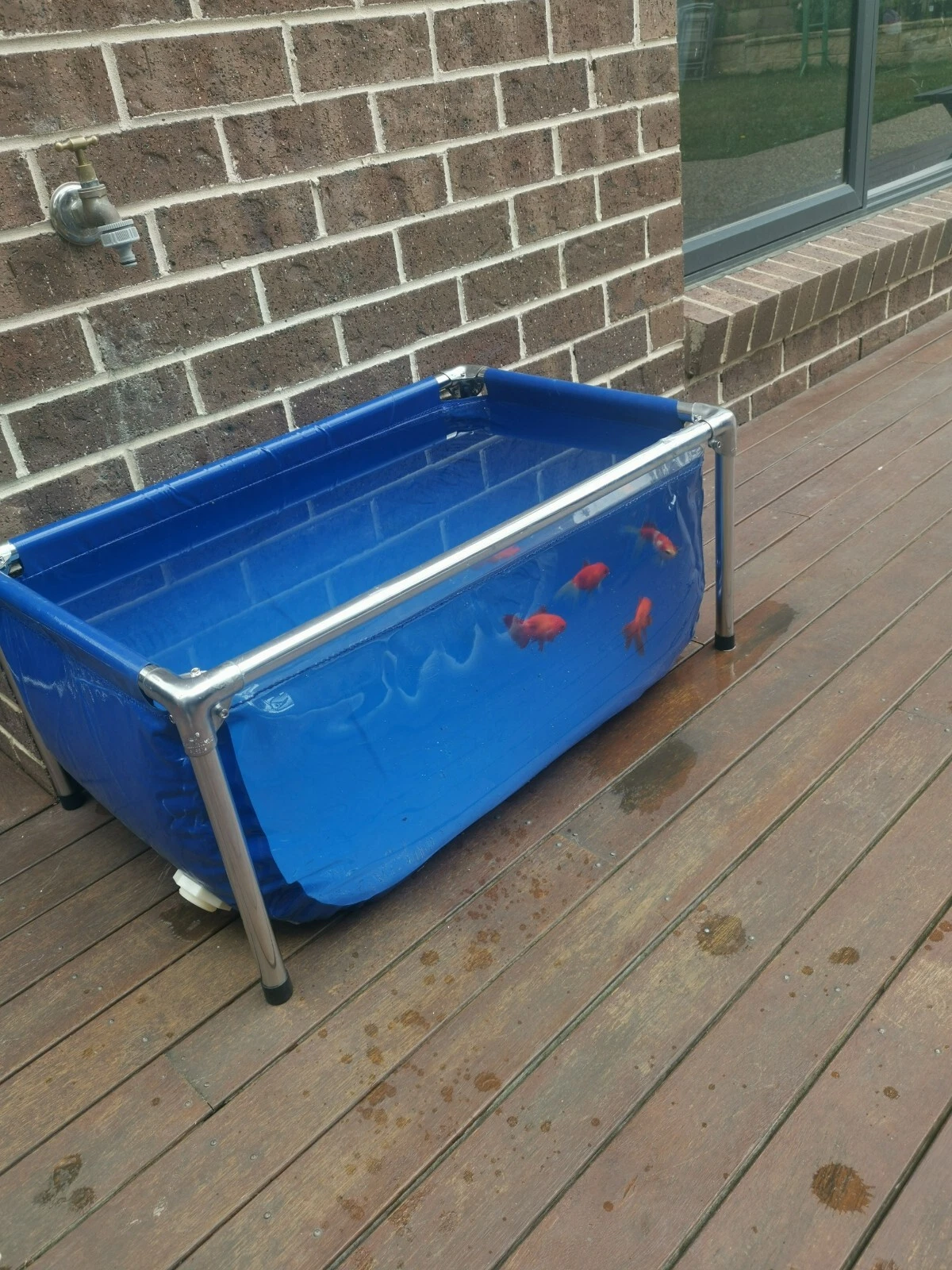 Picture 3 of 10