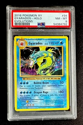 PSA 8 Pokemon Gyarados 34/108 XY Evolutions Holo Rare