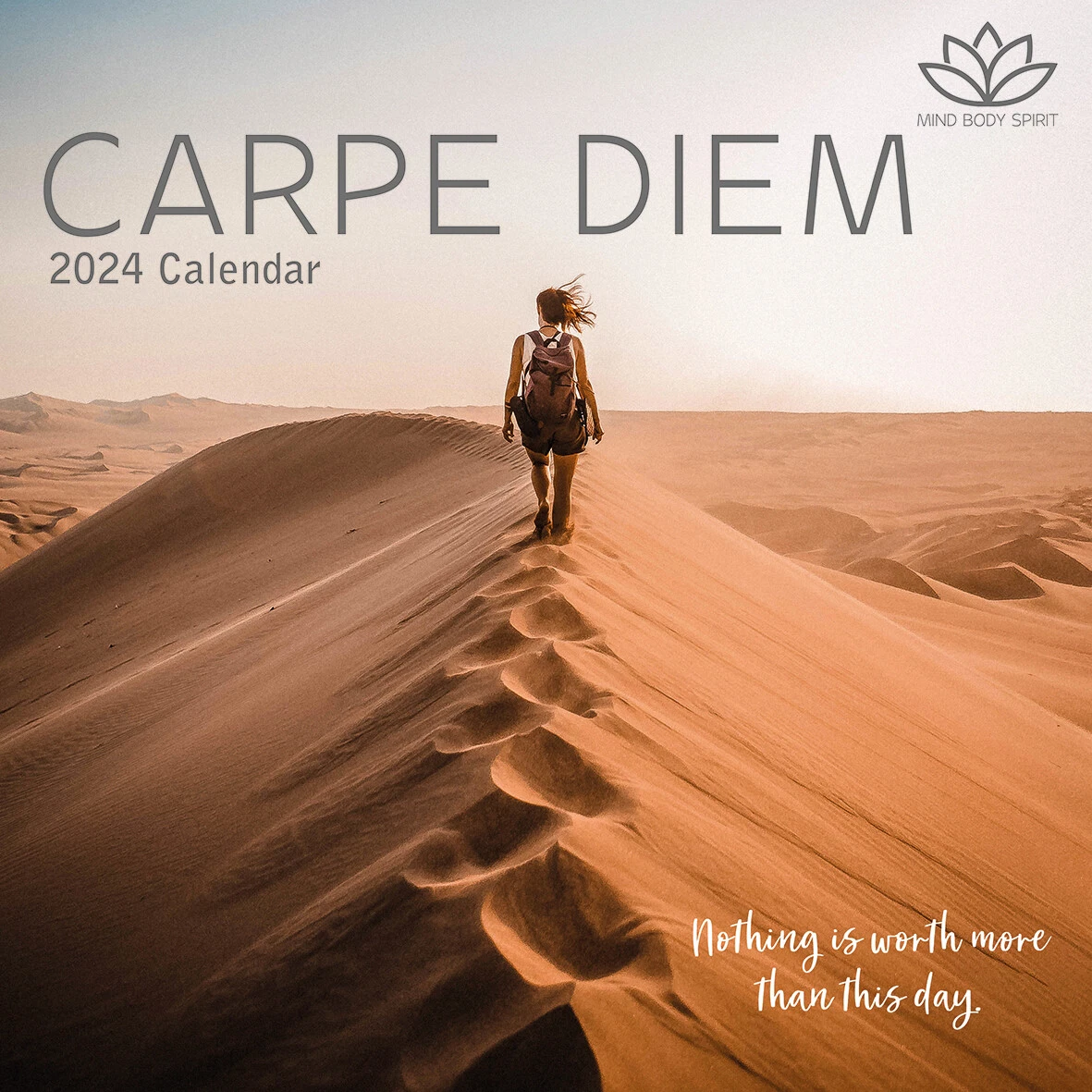 Carpe Diem - 2024 Square Wall Calendar 16 Months Planner Christmas New Year  Gift