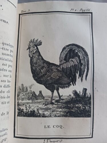 BUFFON 1798 BIRDS 9 ENGRAVINGS NATURAL HISTORY BINDER JELINOTTE ROOSTER - Picture 1 of 7