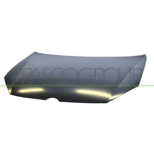 Capot Prasco VG0383110 pour restaurer votre VW avant le contrôle
