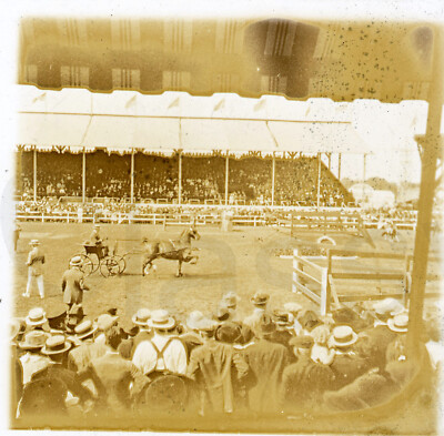 Antique Glass Slides Lot 7 Americana Horse Show Stadium People View #B137