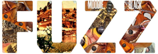 Moodie Black Fuzz (Vinyl LP) 12" Album