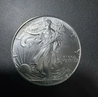 1993 Silver American Eagle $1 - BU - Brilliant Uncirculated, Blast White
