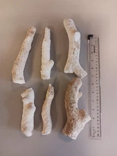 Dry branch reef rock