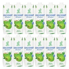 Kokoswasser 12xL Kokosnusswasser Coconut Wate...