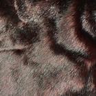 Bild 13 von 13