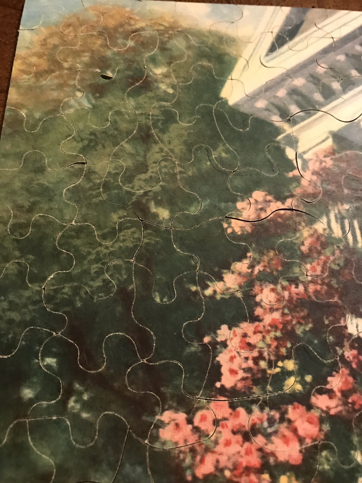 Picture 3 of 7