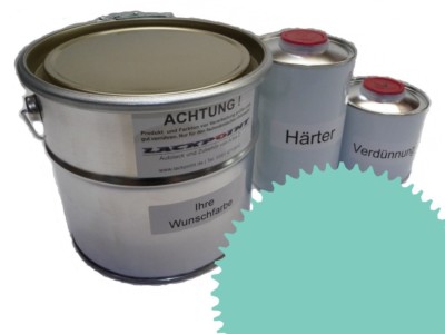 5 Liter Set 2K Automotive Paint Ral 6027 Light Green Acrylic Shiny Lackpoint Un
