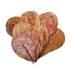 Bild 8 von 10