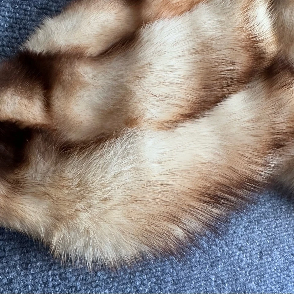 Vintage Midcentury Sable Piel Cuello Mujer Estola 28” Cóctel Noche Gatsby Foto 2 de 4