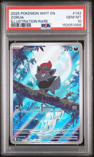 Zorua graded PSA 10 for sale on eBay