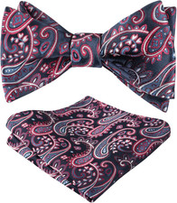 Mens 2pcs UNTIED Gradient Paisley Self Bow Tie and Hanky Set