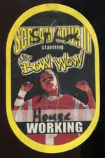 Vintage 2002 Lil Bow Wow Concert Backstage Pass Working St Louis MO Scream Tour