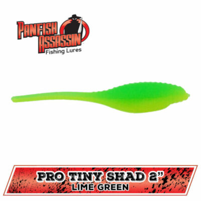 bass assassin lit'l dumplin lure 2-inch 2" the Bass Assassin Worm provides full Walleye Assassin Lures Bass