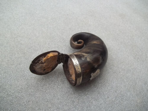 Antique Horn & Silver Scottish Snuff Mull - Picture 18 of 18