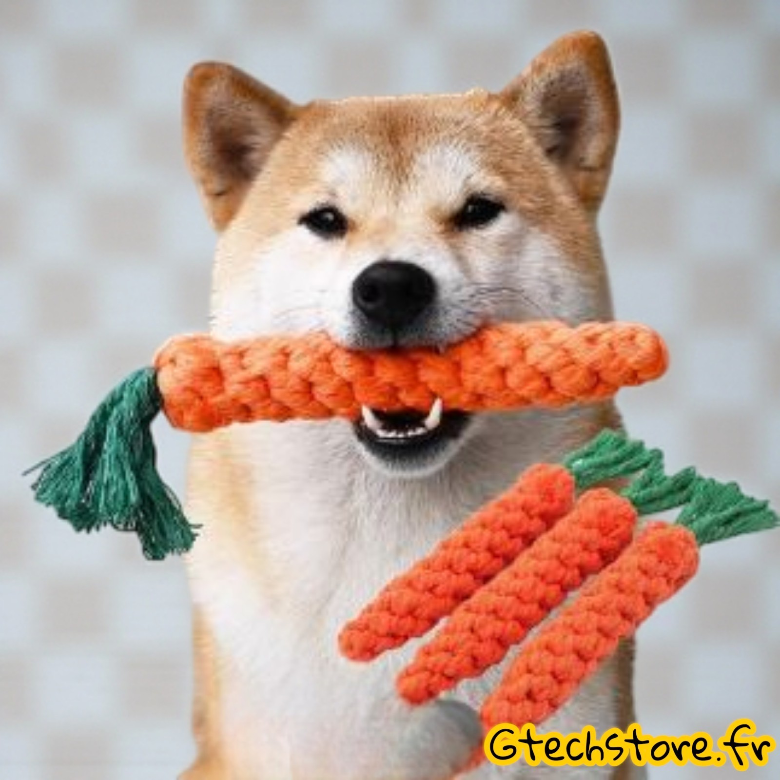Jouet mastication chien carotte en corde coton durable pour nettoyage des dents canines