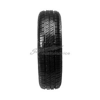 Sava Perfecta 195/65 R15 TL 91T Sommerreifen