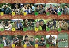 FORSTHAUS FALKENAU komplette TV-Serie mit Christian Wolff 56 DVD EDITION Neu