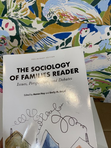 The Sociology Of Families Reader PRELIMINARY EDITION Issues Perspectives Debates - Picture 4 of 11