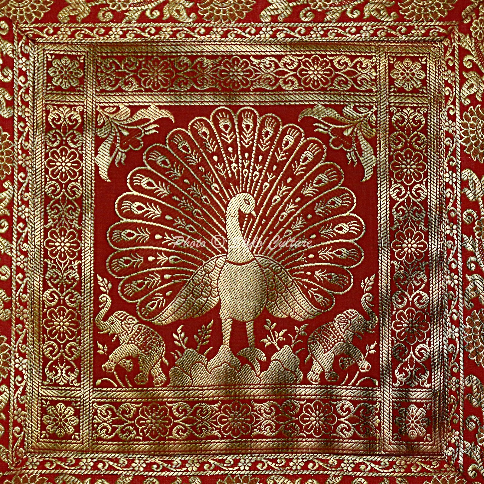 Picture 31 of 46
