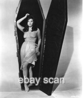 BEVERLY POWERS BAREFOOT LEGGY CHEESECAKE 8X10 PHOTO 5 | eBay