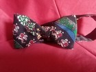 Foto 10 di 12