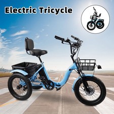 18 3.0 48V 13AH 350W peak 525W Electric Tricycle E-Trike with IPX7 Display E 